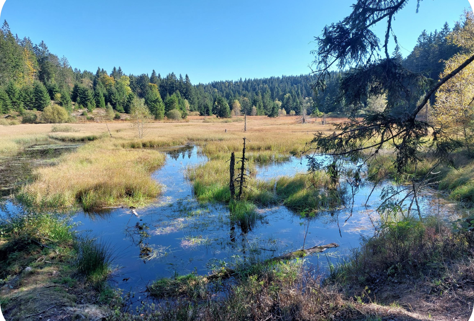 Etang de Jemnaufaing