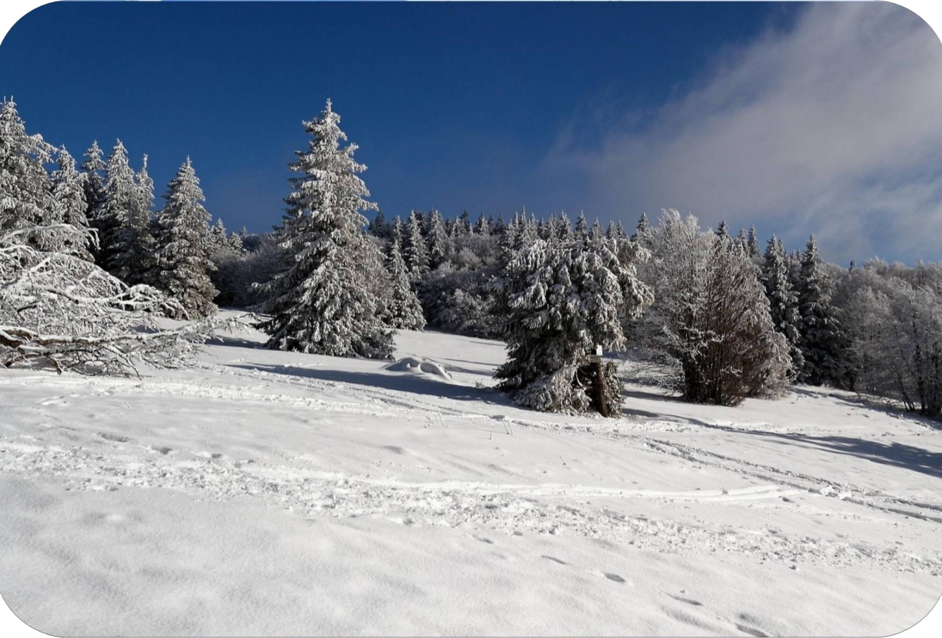 Paysage de neige Haut de Presle